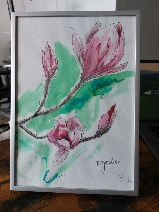 Magnolien Aquarell