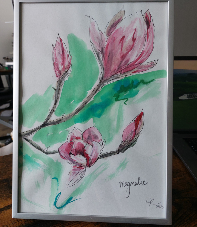 Magnolien Aquarell